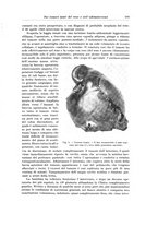 giornale/PUV0110166/1926/V.17/00000119