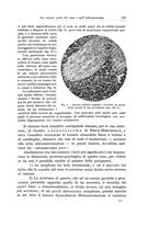 giornale/PUV0110166/1926/V.17/00000123