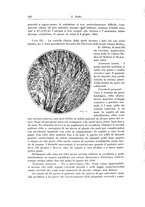 giornale/PUV0110166/1926/V.17/00000156
