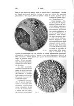 giornale/PUV0110166/1926/V.17/00000210