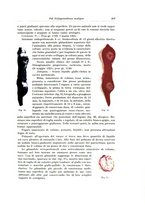 giornale/PUV0110166/1926/V.17/00000221