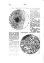 giornale/PUV0110166/1926/V.17/00000224