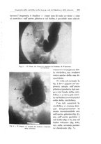 giornale/PUV0110166/1926/V.17/00000313