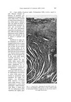 giornale/PUV0110166/1926/V.17/00000365