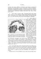giornale/PUV0110166/1926/V.17/00000366