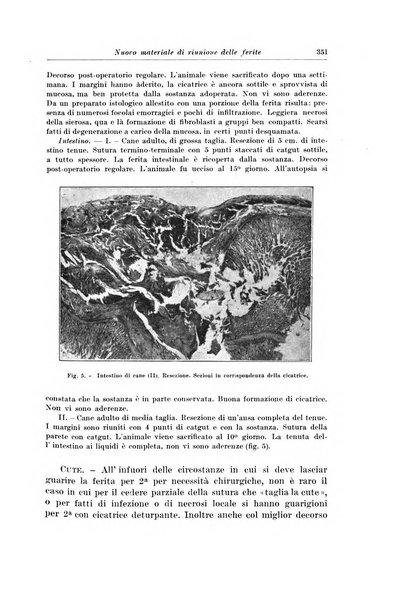 Archivio italiano di chirurgia