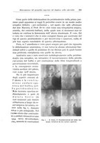 giornale/PUV0110166/1926/V.17/00000381