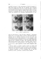 giornale/PUV0110166/1926/V.17/00000382