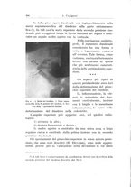 giornale/PUV0110166/1926/V.17/00000384