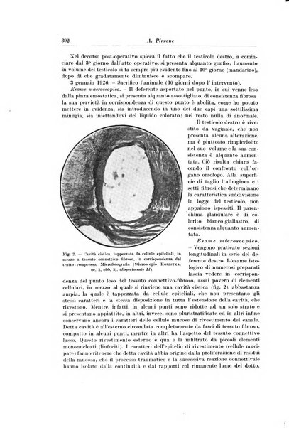 Archivio italiano di chirurgia