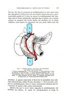 giornale/PUV0110166/1926/V.17/00000435