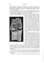 giornale/PUV0110166/1926/V.17/00000502