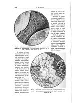 giornale/PUV0110166/1926/V.17/00000546