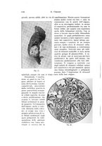 giornale/PUV0110166/1926/V.17/00000658