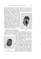 giornale/PUV0110166/1926/V.17/00000661