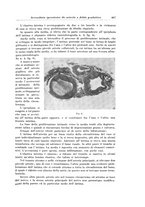 giornale/PUV0110166/1926/V.17/00000679