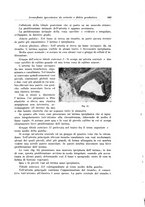 giornale/PUV0110166/1926/V.17/00000681