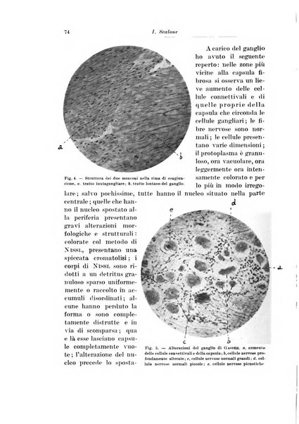 Archivio italiano di chirurgia