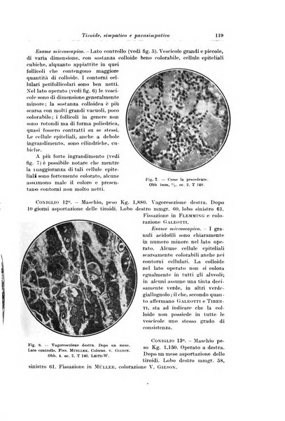 Archivio italiano di chirurgia