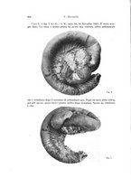 giornale/PUV0110166/1927/V.18/00000300