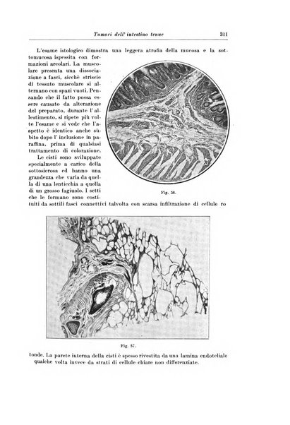 Archivio italiano di chirurgia