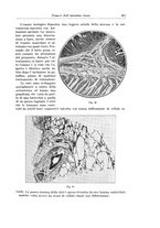 giornale/PUV0110166/1927/V.18/00000327