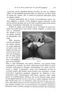 giornale/PUV0110166/1927/V.18/00000531