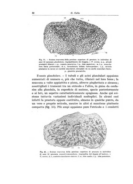 Archivio italiano di chirurgia