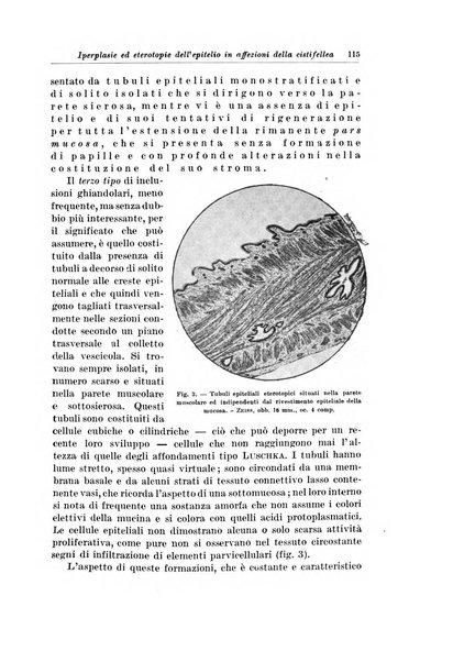 Archivio italiano di chirurgia