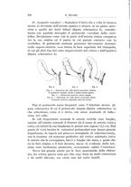 giornale/PUV0110166/1927/V.19/00000284