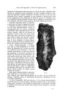 giornale/PUV0110166/1927/V.19/00000323