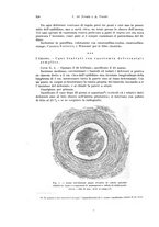 giornale/PUV0110166/1927/V.19/00000344