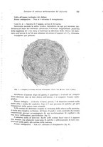 giornale/PUV0110166/1927/V.19/00000349