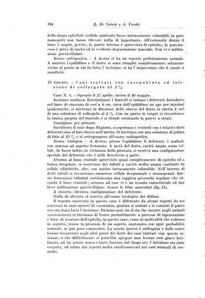 Archivio italiano di chirurgia