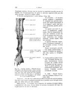 giornale/PUV0110166/1927/V.19/00000548