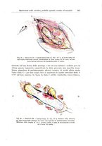 giornale/PUV0110166/1927/V.19/00000573