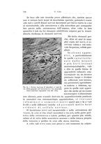 giornale/PUV0110166/1927/V.19/00000738