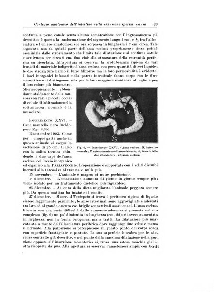 Archivio italiano di chirurgia