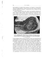 giornale/PUV0110166/1927/V.20/00000068