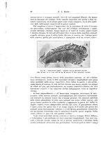 giornale/PUV0110166/1927/V.20/00000070