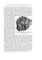 giornale/PUV0110166/1927/V.20/00000087