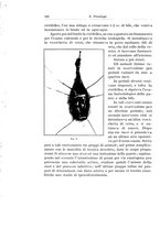 giornale/PUV0110166/1927/V.20/00000152