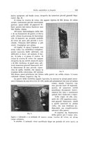 giornale/PUV0110166/1927/V.20/00000155