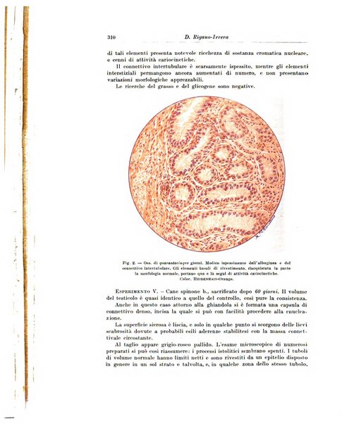 Archivio italiano di chirurgia