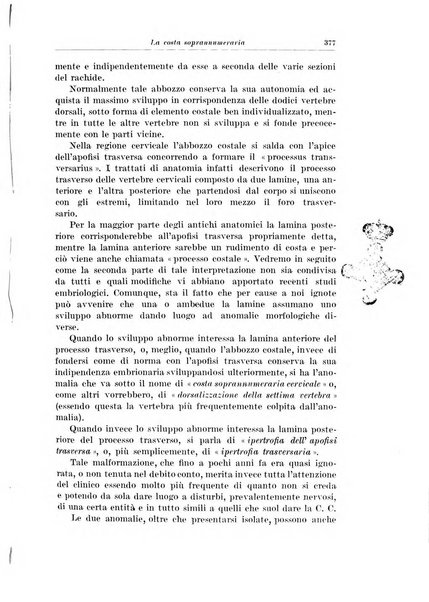 Archivio italiano di chirurgia