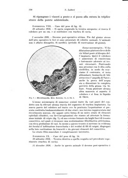 Archivio italiano di chirurgia