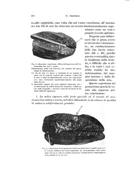 Archivio italiano di chirurgia