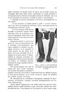 giornale/PUV0110166/1927/V.20/00000641