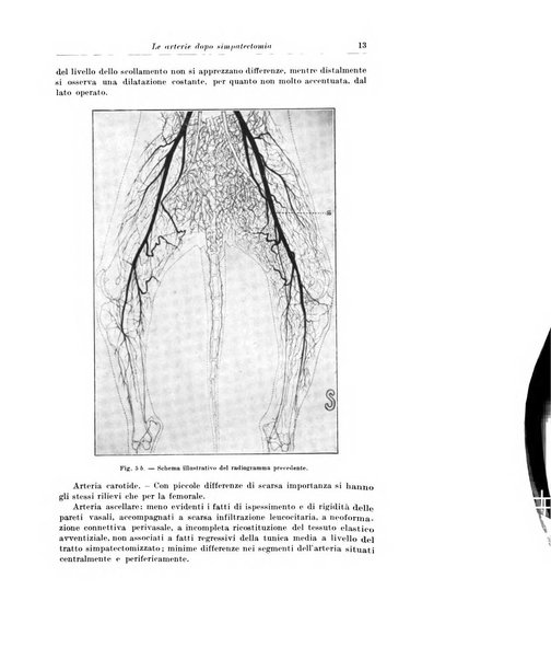 Archivio italiano di chirurgia