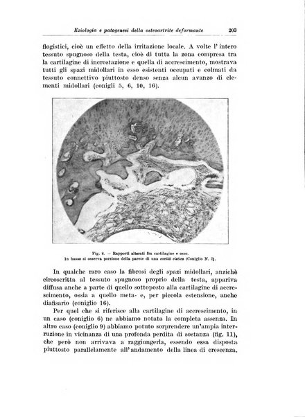 Archivio italiano di chirurgia